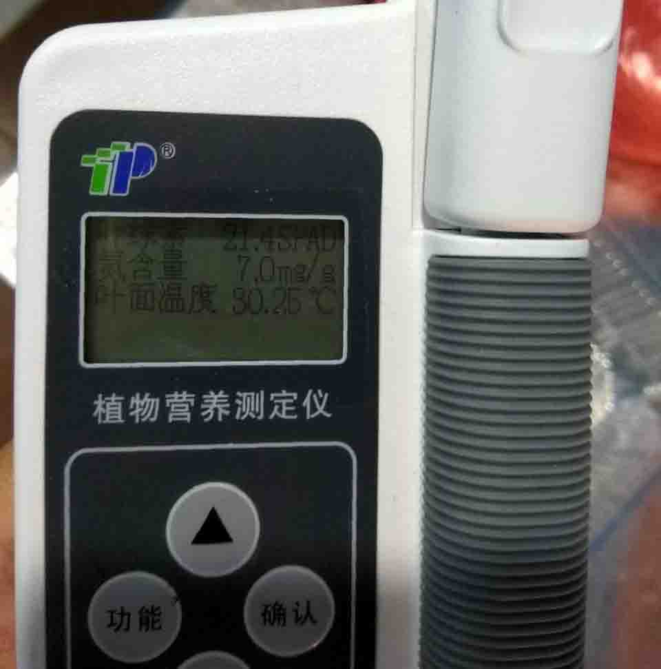 激光植物生长灯