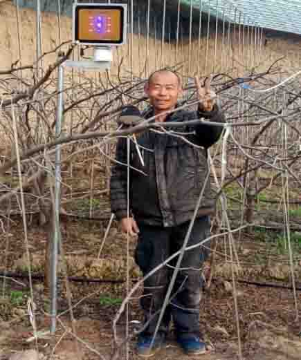 激光植物生长灯