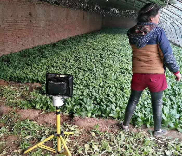 激光植物生长灯