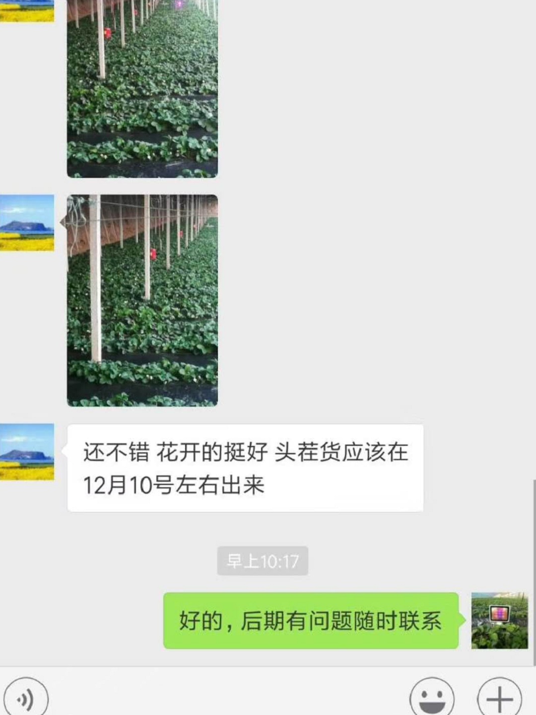 激光植物生长灯