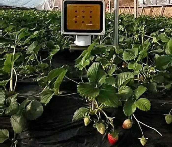 激光植物生长灯