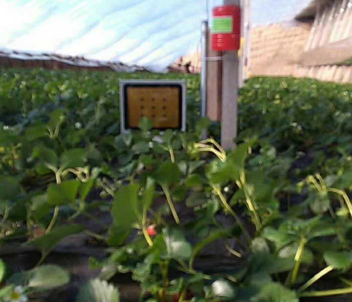 激光植物生长灯